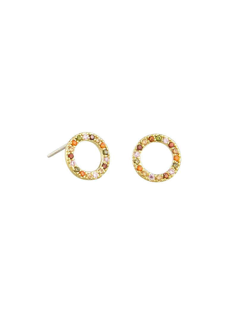 Tiger Tree | Rainbow Circle Earrings